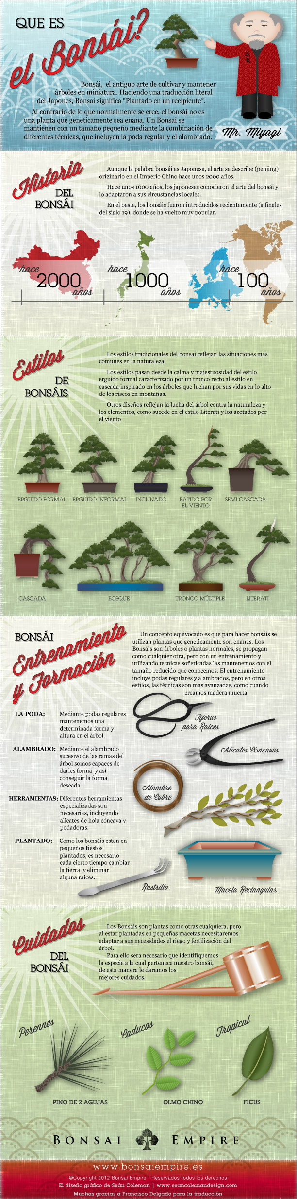 Bonsai infografico
