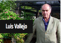 Luis Vallejo