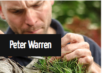 Peter Warren