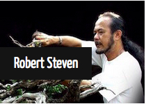 Robert Steven