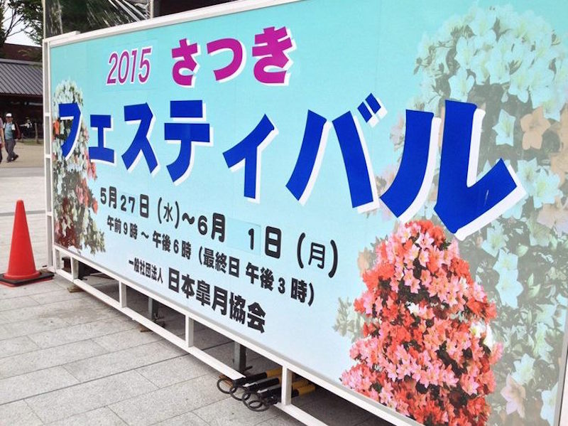 Satsuki Azalea Bonsai festival