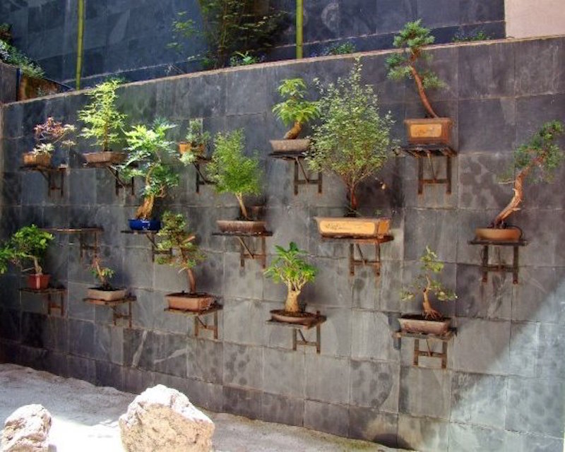 Vertical Bonsai garden by Alex Lamb