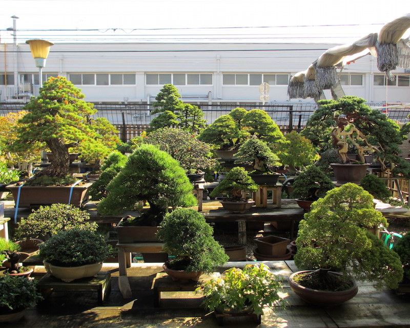 Koukaen Bonsai garden