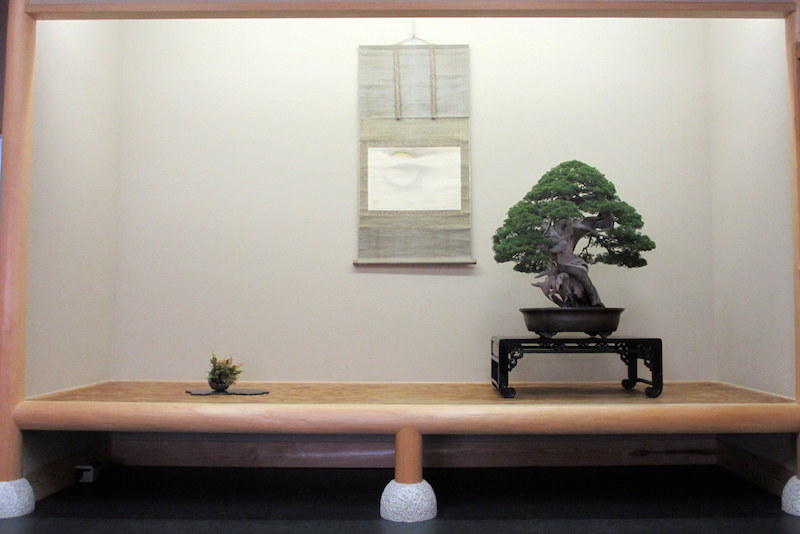 Taikan Bonsai museum