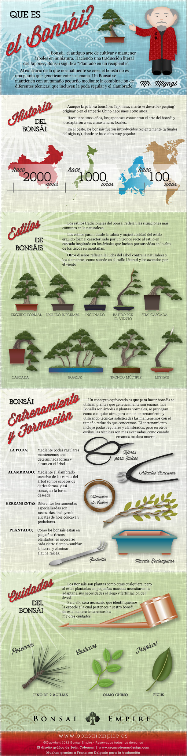 Bonsai infographic