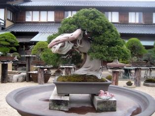 Shunka-en garden